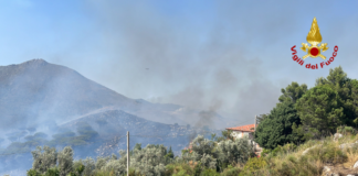 incendi-palermo